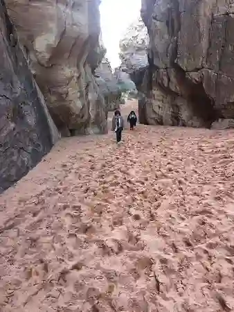 Desert Image 6